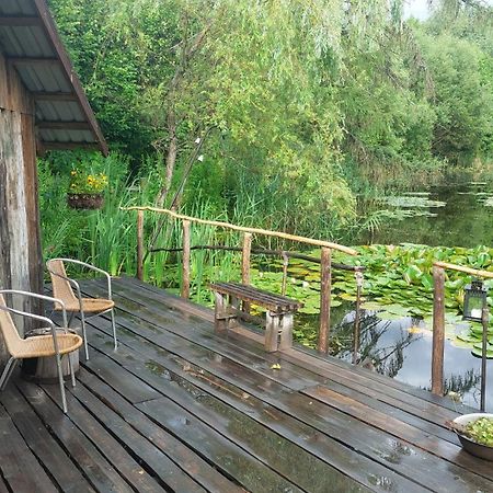 Idilliska Latgaliesu Lauku Maja Ar Melno Pirti Villa Aglona Exterior photo