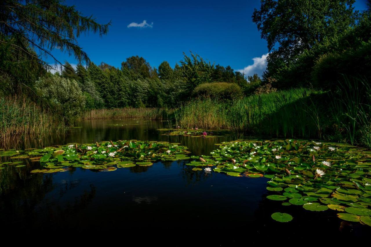 Idilliska Latgaliesu Lauku Maja Ar Melno Pirti Villa Aglona Exterior photo