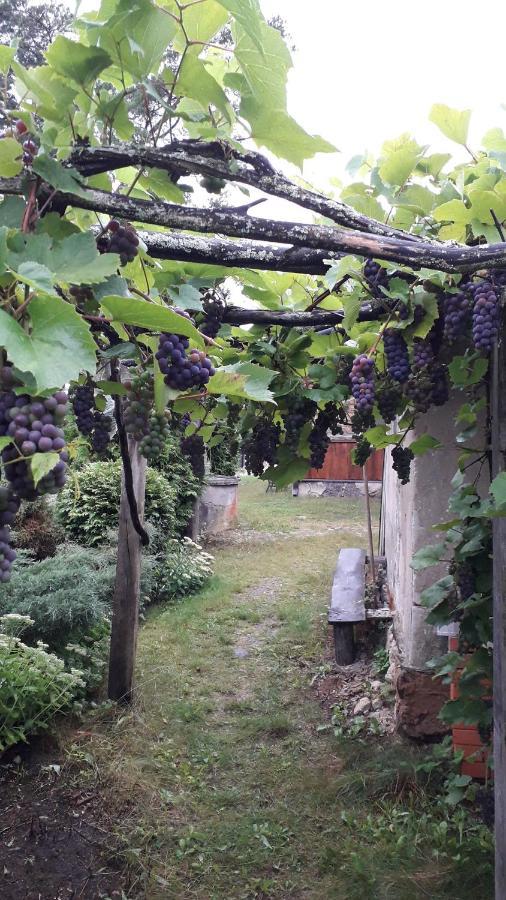Idilliska Latgaliesu Lauku Maja Ar Melno Pirti Villa Aglona Exterior photo