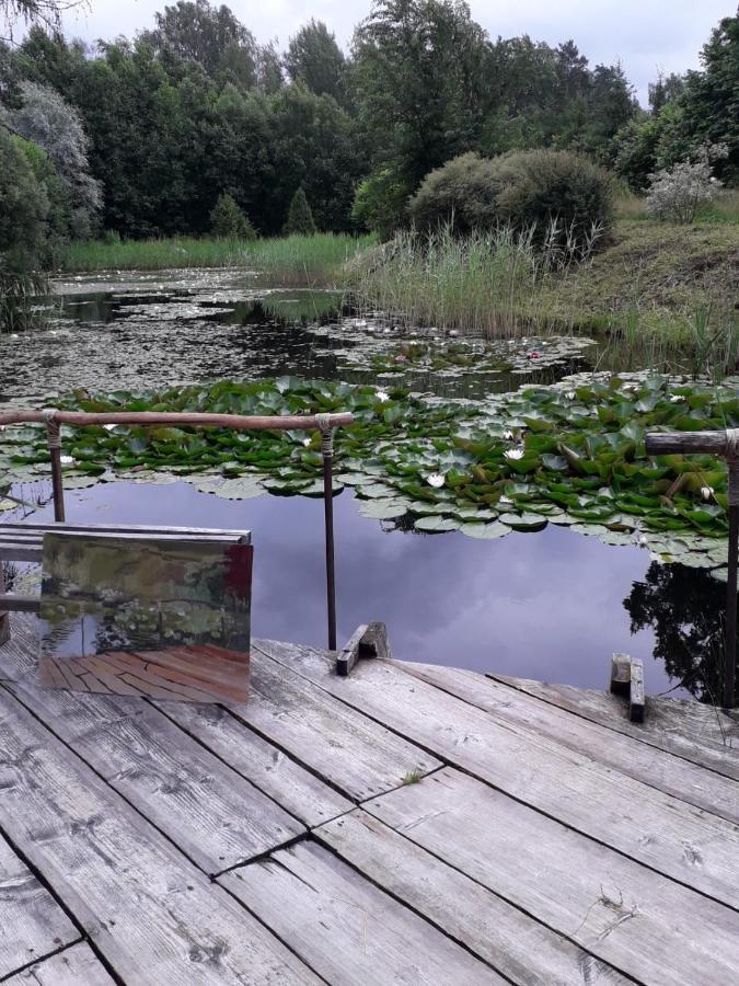 Idilliska Latgaliesu Lauku Maja Ar Melno Pirti Villa Aglona Exterior photo
