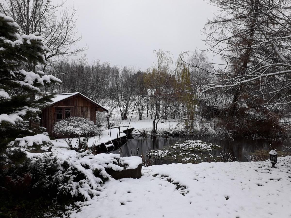 Idilliska Latgaliesu Lauku Maja Ar Melno Pirti Villa Aglona Exterior photo